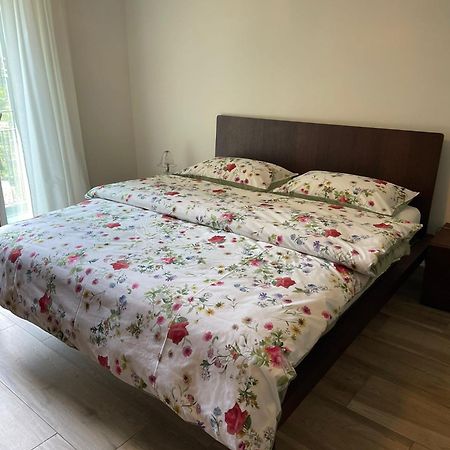 Appartamenti Ramarro Ronco sopra Ascona Exterior foto